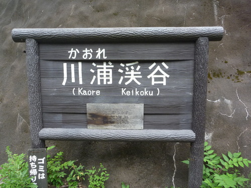 P1010534
