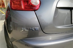 th_IMG_8529