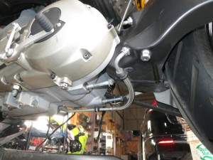 th_IMG_2806