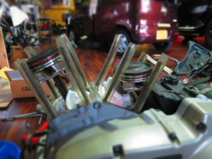 th_IMG_2989