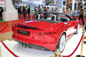 th_IMG_9871