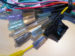 th_IMG_0481