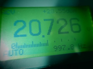 th_IMG_1257