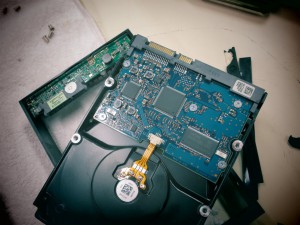 th_IMG_1398