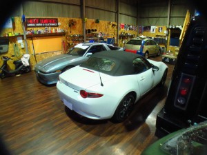 th_IMG_1902