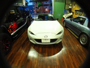 th_IMG_1908