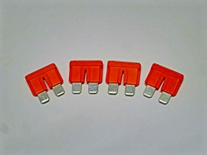 th_IMG_2881