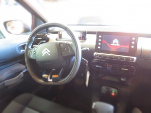 th_IMG_3293