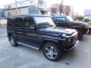 th_IMG_3445