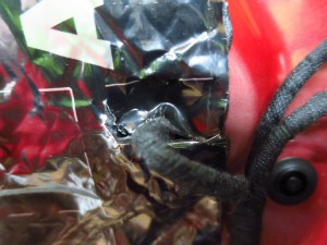 th_IMG_3649