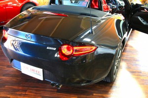 th_IMG_6728
