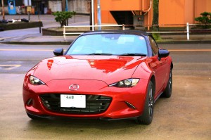 th_IMG_6624