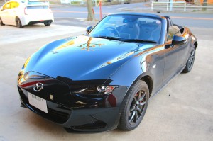 th_IMG_6684