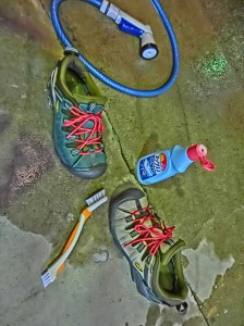th_CIMG3331