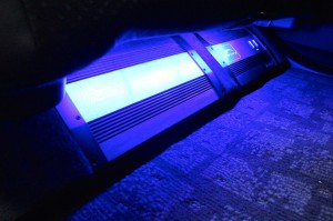 th_IMG_0153