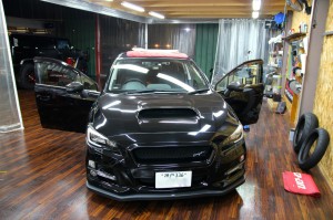 th_IMG_3039