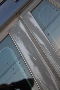 th_IMG_4609