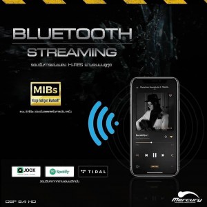 DSP8.4HD アンプ内臓 DSP内臓　パワードウーハー　5ch.アンプ内臓　LDAC Bluetoothレシーバー ハイレゾ DSP内臓アンプ アンプ内臓DSP