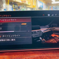 並行輸入　並行車　平行輸入　ドイツ仕様　本国仕様　BMW 純正ナビ　カーナビ　日本語化　書き換え　日本語　地図　インストール　地図データ　言語設定　ALPINA D5 アルピナ ナビの日本語化　NBT CIC EVO ID6 ID7 ESYS コーディング 名古屋　HOT WIRED ホットワイヤード Z4 M3 M4 M5 M6 M8 カープレイ　CarPlay