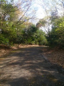 東山ドライブコース　走り屋　バイク