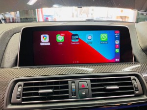 BMW 純正ハーマン　ハーマンカードン HARMAN KARDON M6 F14 F15 F10 F30 スピーカー交換 センタースピーカー交換  音質向上　ポン付スピーカー トレードイン　Audible Physics Mercury Car Audio 名古屋　ホットワイヤード　カープレイ有効化　コーディング