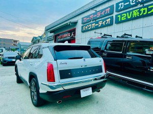 光岡 BUDDY ROCKSTAR ディスプレイオーディオ 後付け ワイヤレス　CarPlay ミラーリング　Youtube Android Auto オプション　スピーカー交換　プライムビデオ　ネットフリックス　外部入力　AUX HDMI RCA