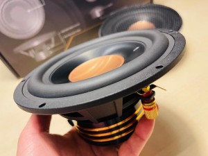 Audible Physics rg6.1pro rg sound lab HOT WIRED オーディブルフィジックス 偏心コーン　カーオーディオ　Emma 優勝車両　コンテスト　ミッド　オフセット　HOT WIRED