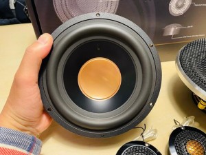 Audible Physics rg6.1pro rg sound lab HOT WIRED オーディブルフィジックス 偏心コーン　カーオーディオ　Emma 優勝車両　コンテスト　ミッド　オフセット　HOT WIRED