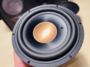Audible Physics rg6.1pro rg sound lab HOT WIRED オーディブルフィジックス 偏心コーン　カーオーディオ　Emma 優勝車両　コンテスト　ミッド　オフセット　HOT WIRED 偏心