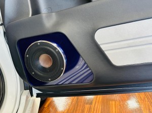 Audible Physics RG6.1PRO 偏心コーン 大型ツイーター　ミッドベース　ミッドウーハー　オーディブルフィジックス　ハイエンドカーオーディオ