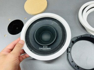 HAMMER TECH ハマーテック　外向き専用スピーカー　外向き　カーオーディオ  外向きオーディオ　音圧　DIECOCK ダイコック　大音量　爆音　フルレンジスピーカー　ペーパーコーン　6.5インチ　DB DRAG SPL バイクオーディオ　防水　ハーレー　ビッグスクーター HARLEY HOT WIRED ホットワイヤード