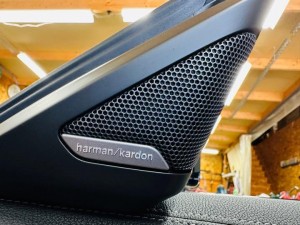 BMW 純正ナビ　純正オーディオ　カーオーディオ　ハーマンカードン　HARAM KARDON ハーマン　iDrive ID7 LOGIC7 サラウンド　音質改善　ツイーター　スピーカー交換　ドアスピーカー　音質向上　高音　低音　ウーハー　センタースピーカー　リアスピーカー　4インチ　3インチ　2インチ　10センチ　プレミアムカーオーディオ　名古屋　ホットワイヤード　HOT WIRED Z4 G29 X7 X6 750 850 B&W バウワーズ　ウィルキンス　BOSE サウンドシステム　デッドニング　調音施工　Mercury Car Audio Audible Physics RAM2 RAM3 CE-165 CE165 対応スピーカー　ハイパスフィルター　音質　高音質　ハイレゾ　iPhone CarPlay カープレイ　カーオーディオ専門店