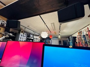 ボーズ　スピーカー交換　BOSE 214 天吊スピーカー　家庭用スピーカー　スピーカーユニット　交換　ツイーター　カーオーディオ専門店　カーオーディオ　魔改造 BOSE 301 101 201 スピーカーボックス　ウーハー　天吊　天吊金具　吊り下げ　PC用スピーカー