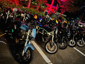 th_IMG_1123